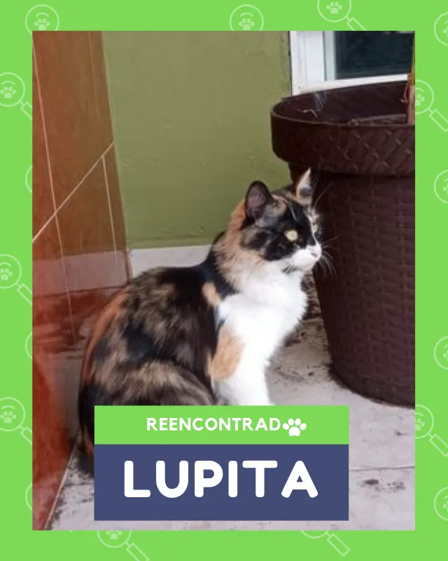Lupita, de vuelta en casa gracias a Soy Huellas